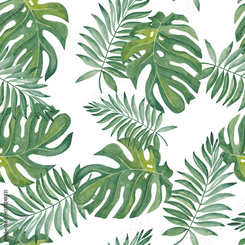Watercolor seamless pattern tropical leaves of Monstera, Palm. Trendy illustration Isolated on white background. Hand drawn. Design for kitchen, textile fabrics, invitations, cards, wall art.