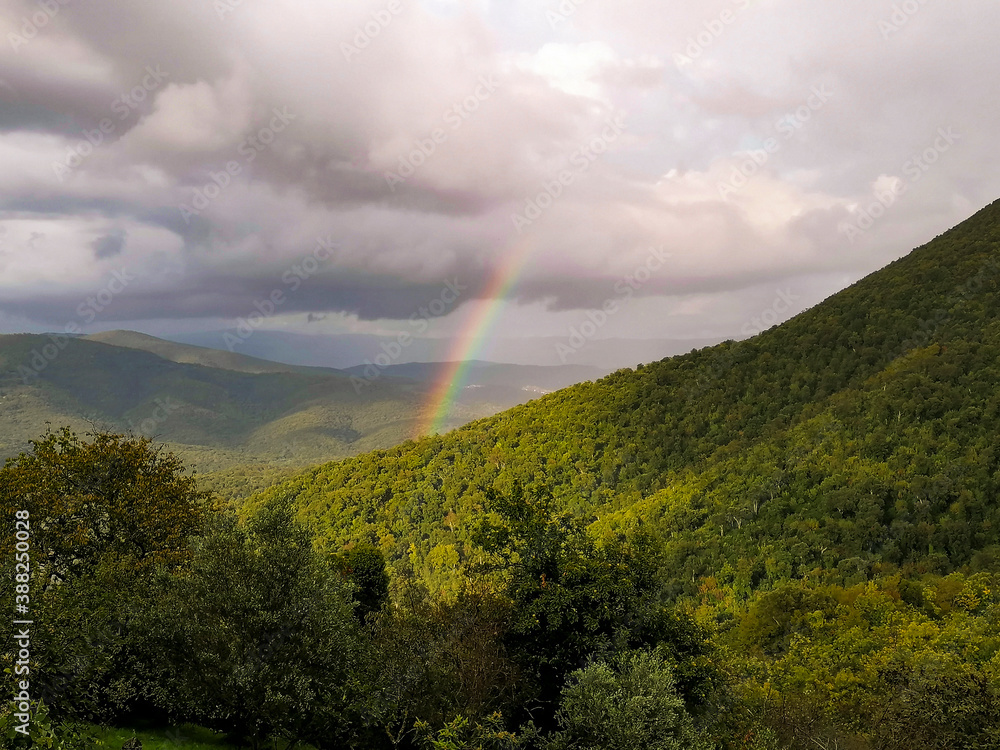 Italy Tuscany Castiglione della Pescaia, Tirli view of the Mediterranean forest with rainbow in cloudy sky