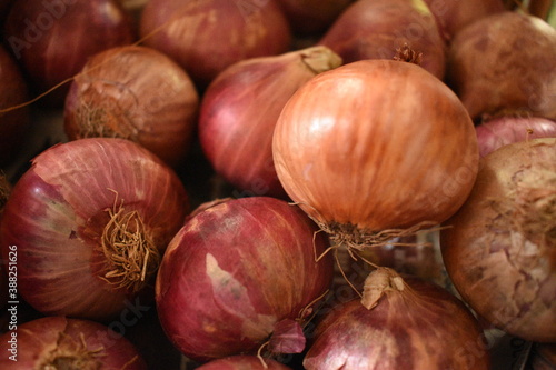 fresh organic onions