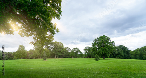 Fototapeta Naklejka Na Ścianę i Meble -  Fresh air and beautiful natural landscape of meadow with green tree  in the sunny day for summer background, Beautiful lanscape of grass field with forest trees and enviroment public park with sun ray