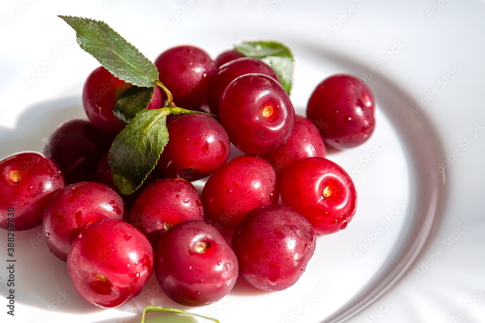 Wet fresh ripe cherries on a white plate. Wet fresh ripe cherries on a white plate.
