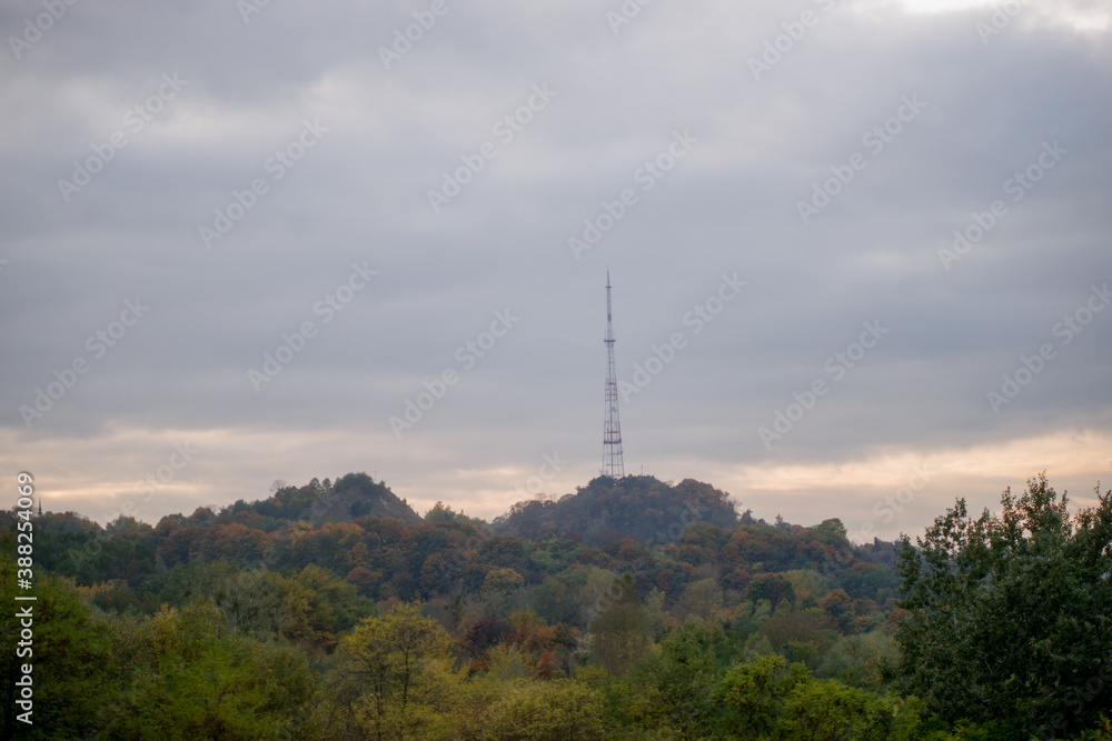 view of the forest and TV tower