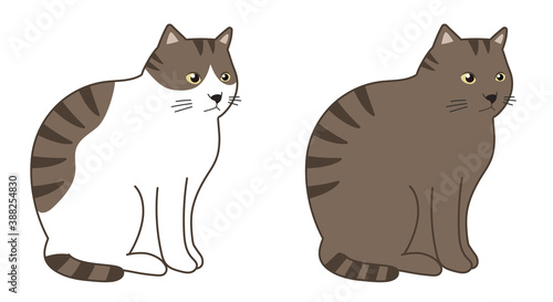 Brown tabby cat and brown tabby and white cat in a sitting. Vector illustration isolated on white background.