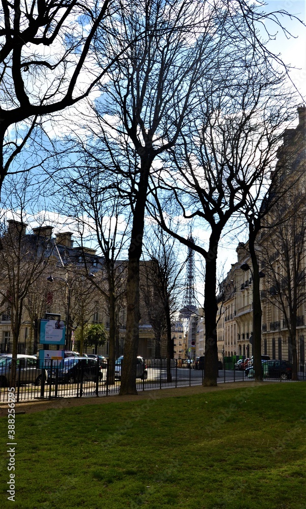 Naklejka premium Paris street views during autumn. Eiffel tower seems away from the Paris street during sunny day