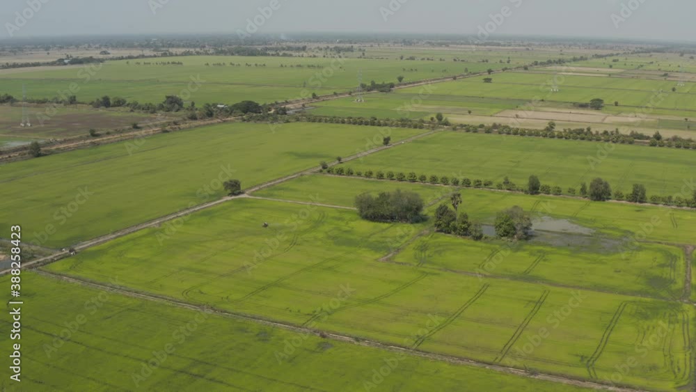 flying over a Farmer spraying pesticides on rice field in Cambodia flying over a Farmer spraying pesticides on rice field in Cambodia