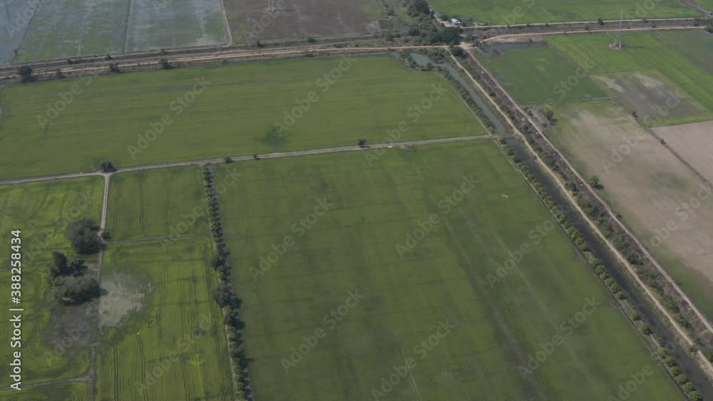 Slow fly over and reveal endless Rice fields in Cambodia Slow fly over and reveal endless Rice fields in Cambodia