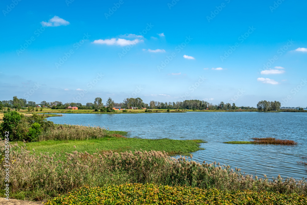 Fototapeta premium Outdoor rural water Rural Landscape