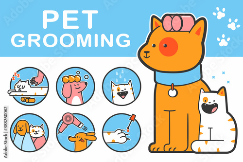 Pet grooming vector cartoon illustration with cute dog and cat characters set isolated on background.
