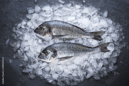 Fotografija Gilt-head bream (dorade) on ice top view.
