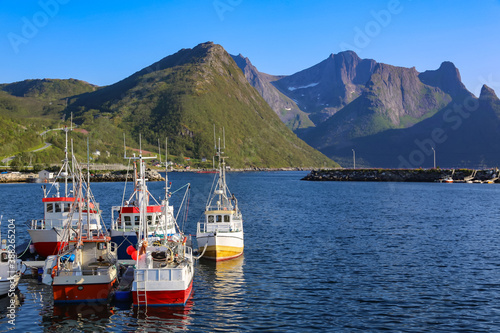 Fishing boats in port, Husøya in Troms county
