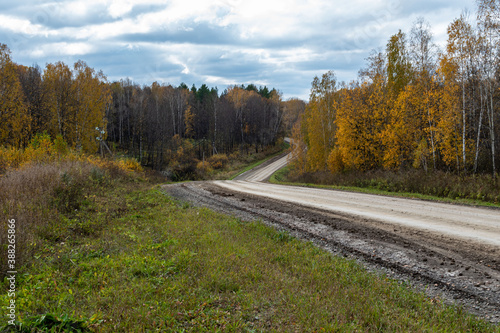 road, autumn, forest, landscape, fall, nature, tree,
