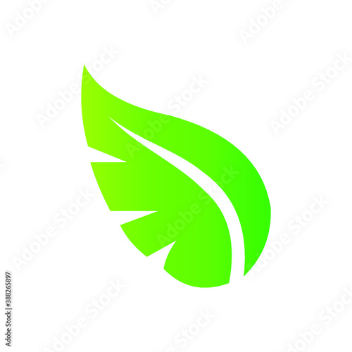 Leaf icon, Leaf icon vector, Leaf icon eps10, Leaf icon eps, Leaf icon jpg, Leaf icon, Leaf icon flat, Leaf icon web, Leaf icon app, Leaf icon art, Leaf icon AI, Leaf icon line