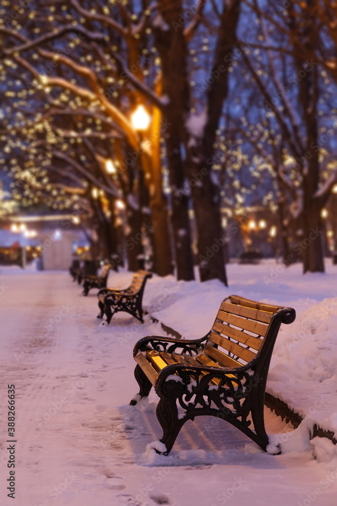 Winter evening park landscape. Wooden bench, snow covered trees.