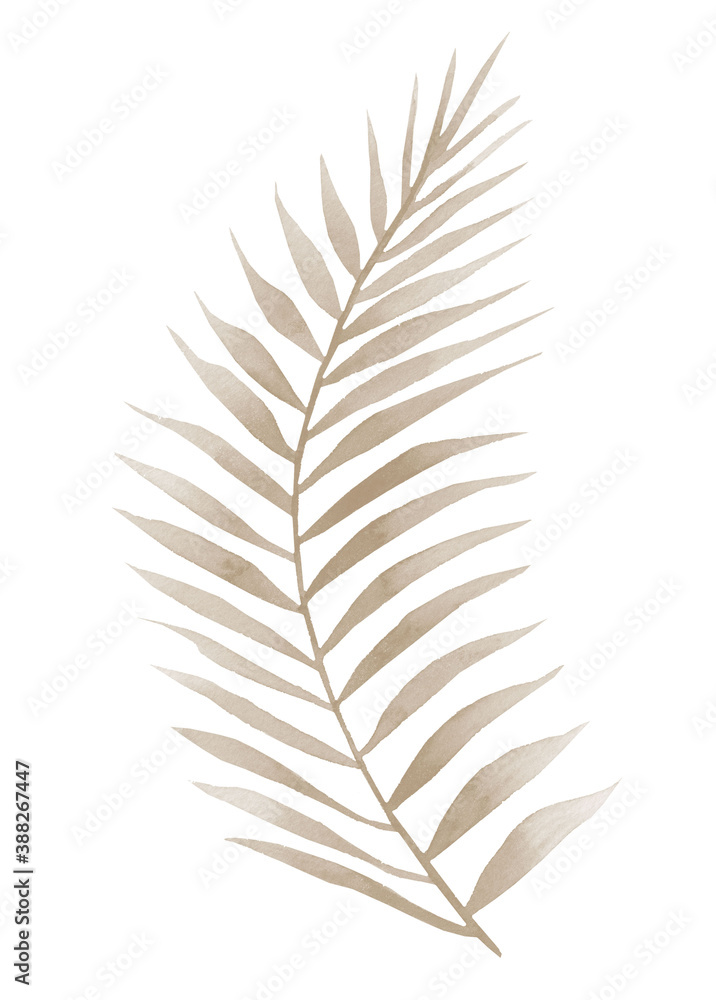 Fototapeta premium Dried curved palm branch. Watercolour illustration isolated on white background.
