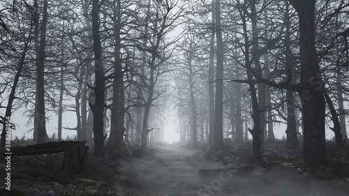 3d render of a scary and empty forest in the fog