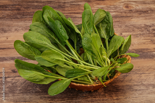 Fresh green Spinach leaves heap