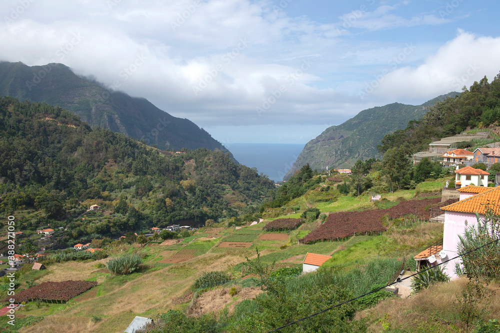 Paul da Serra Plateau, Madeira. Portugal	