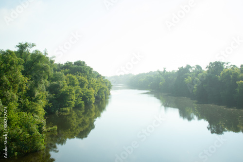 river and forest