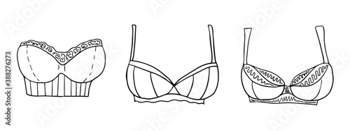 Set of lace bras. Elegant beautiful women's underwear. Vector elements for design.