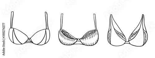 Sketch of female bra. Vector outlines element for design. 