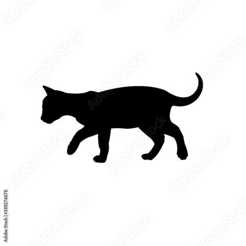 Cat vector