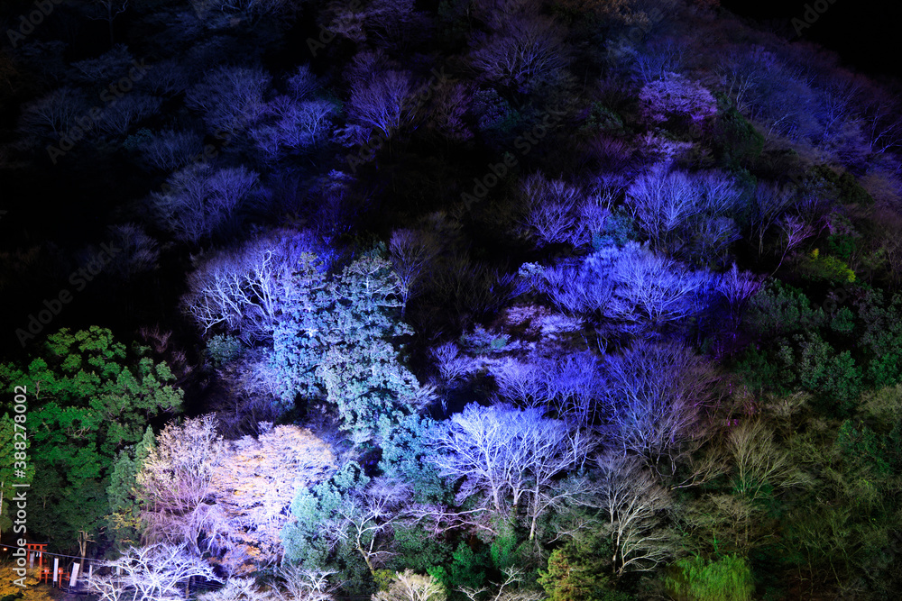 嵐山花灯路 嵐山花灯路
