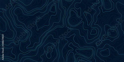 Topographic contour map on blue background. Vector grid map.