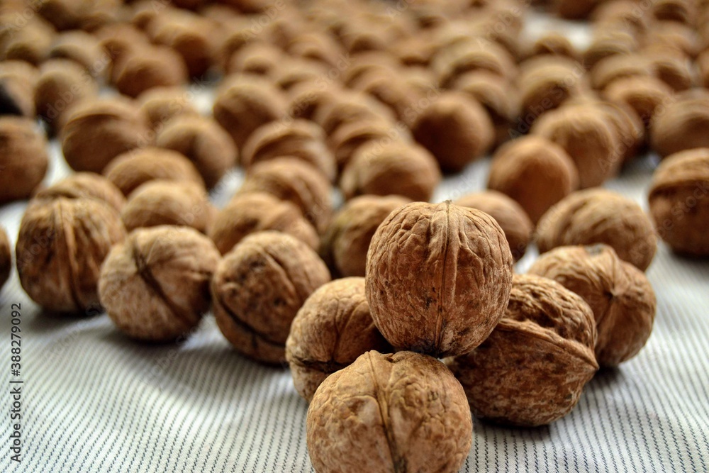 Groups of fresh nut in Turkey. Groups of organic and fresh walnuts and wooden background. Bursa Turkey Groups of fresh nut in Turkey. Groups of organic and fresh walnuts and wooden background. Bursa Turkey