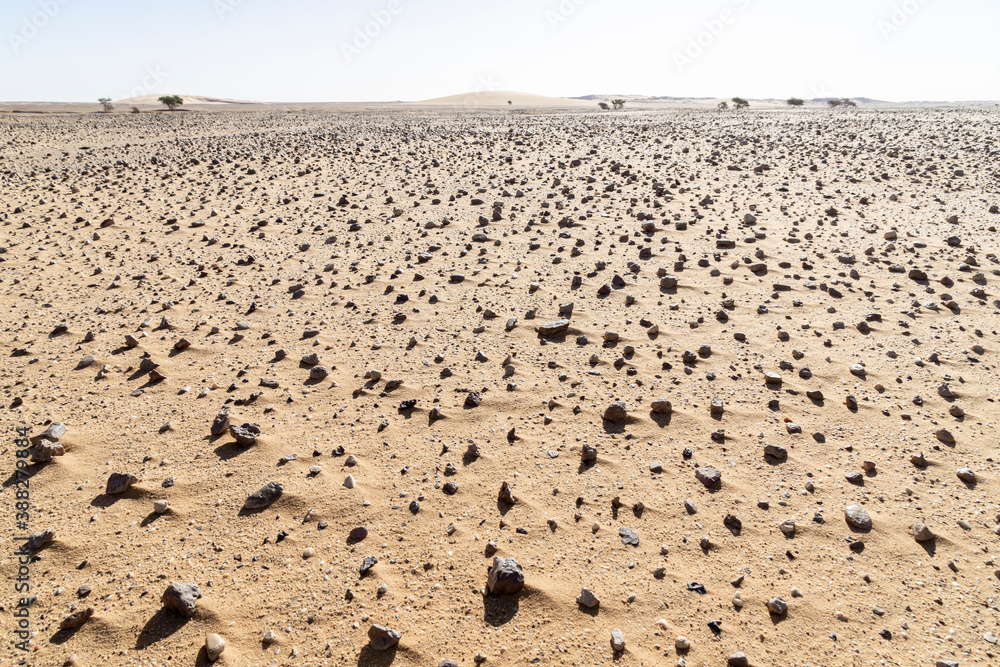 A wide open desert landscape, Chad A wide open desert landscape, Chad