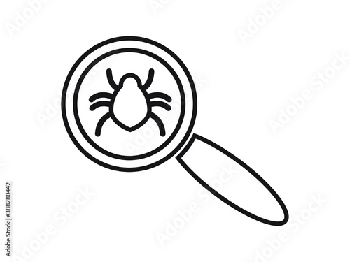 insect spider magnifying glass