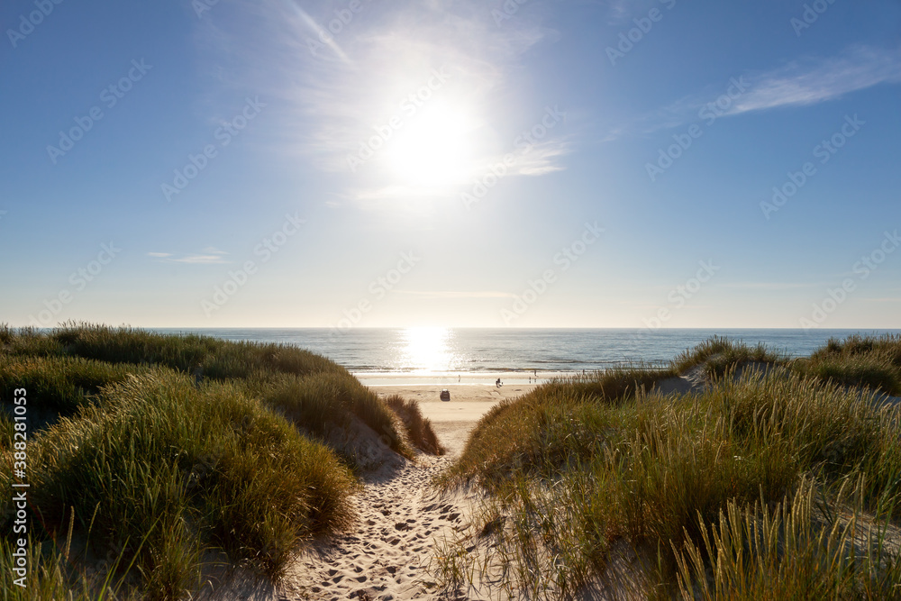 Übergang in den Dünen mit Blick auf den Strand bei Vejers auf Jütland an der Nordsee in Dänemark