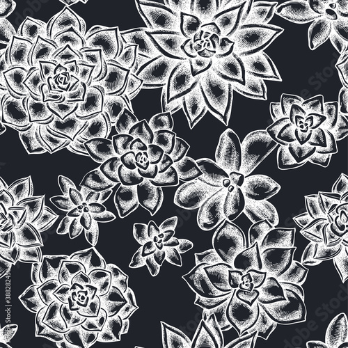 Seamless pattern with hand drawn chalk succulent echeveria