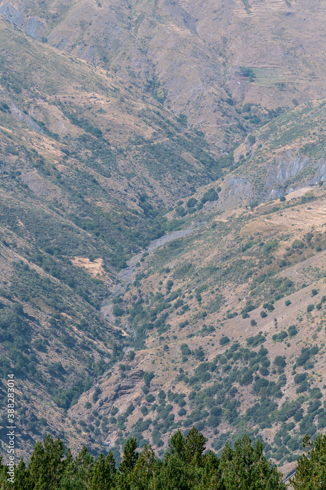 ravine in Sierra Nevada in southern Spain