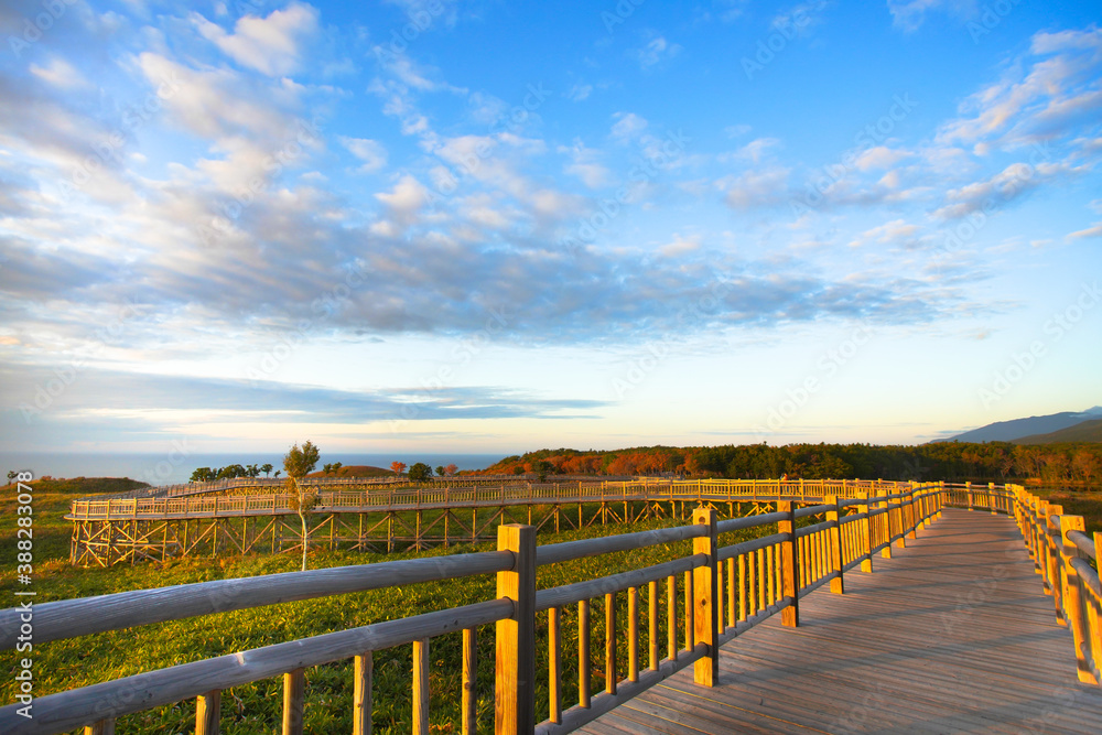 Fototapeta premium 北海道「知床国立公園」の知床五湖、高架木道から、夕日に染まる景色