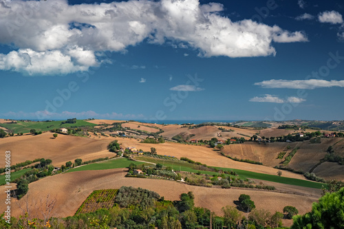 Panoramic view of the gentle cultivated hills of the Marche Apennines in Italy © serghi8