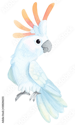 Watercolor illustration. Exotic bird. Cockatoo. Cute cartoon parrot isolated on white background.