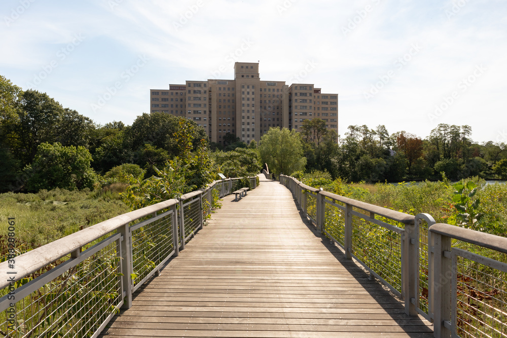Boardwalk along the Little Hell Gate Salt Marsh on Randalls and Wards Islands during Summer in New York City