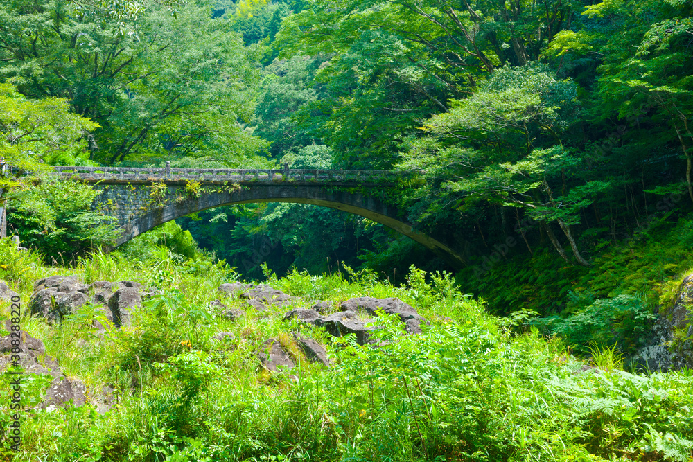 Obraz premium 高千穂峡の神橋