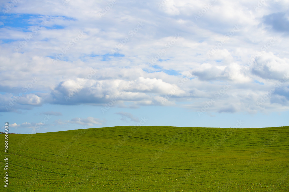 北海道の牧草地と青い空に白い雲