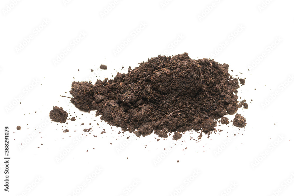 Black land for plant. Black land for plant.