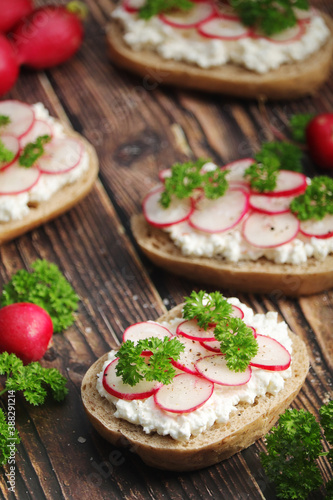 Sandwiches with fresh radishes and cotton cheese