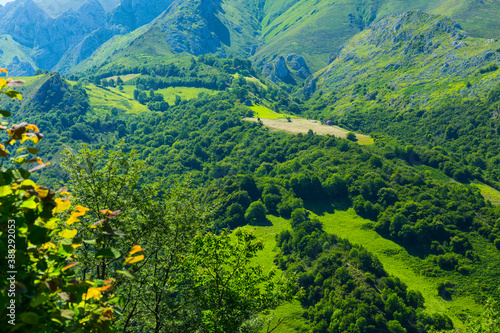 Valley of Casaño River, Picos de Europa, Asturias, Spain, Europe