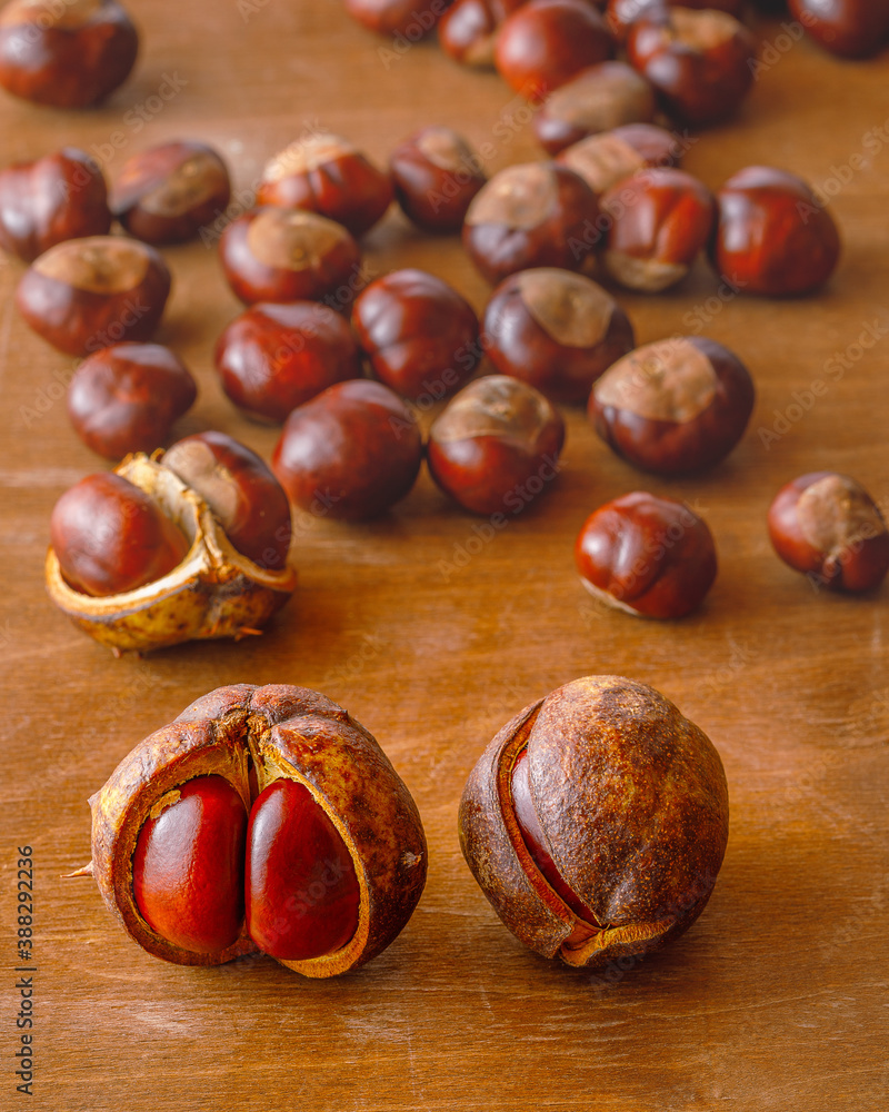 autumn still life with horse chestnuts on wooden background autumn still life with horse chestnuts on wooden background