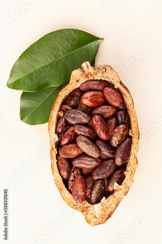 Fresh roasted cocoa beans in a pod with leaves on beige background..