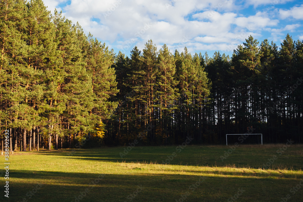 Naklejka premium A football field in the middle of a forest with a white soccer goal in the sun.
