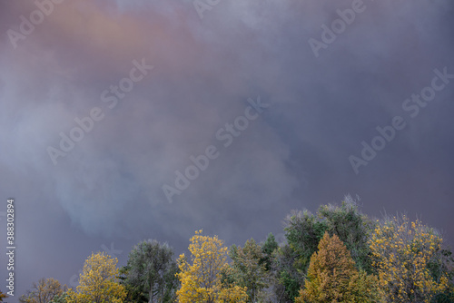 A smoke plume fills the sky above colorful autumn leaves