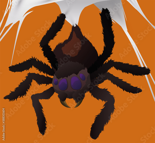 Hairy Spider Hanging from its Cobweb, Vector Illustration