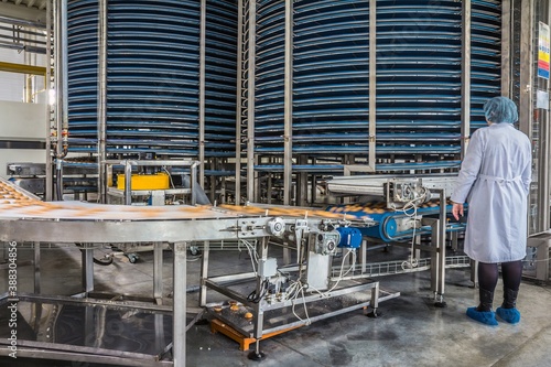 ULYANOVSK, RUSSIA - APRIL 19, 2017. A woman in uniform controlling the work of huge conveyor machine cooling spice cakes at the confectionary plant.