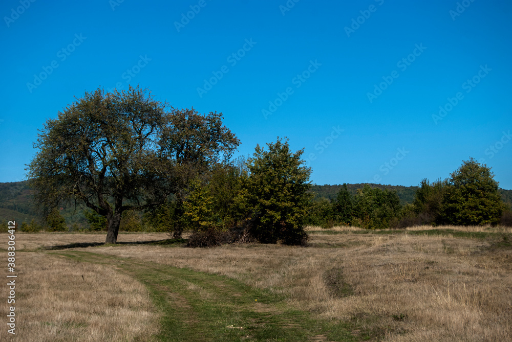 Countryside rural landscape with country road in late summer sunny day Countryside rural landscape with country road in late summer sunny day