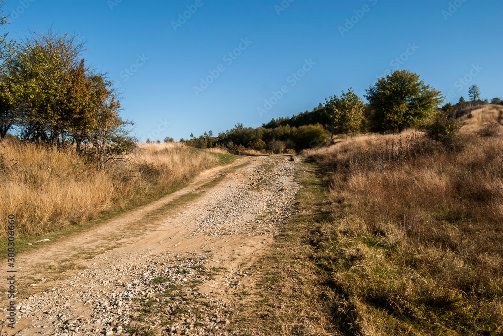 Countryside rural landscape with country road in late summer sunny day Countryside rural landscape with country road in late summer sunny day